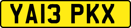 YA13PKX