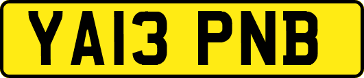 YA13PNB