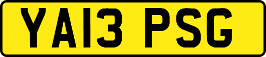 YA13PSG