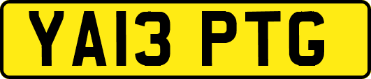 YA13PTG