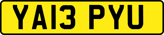 YA13PYU