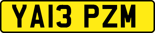 YA13PZM