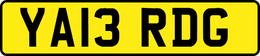YA13RDG