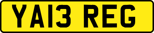 YA13REG