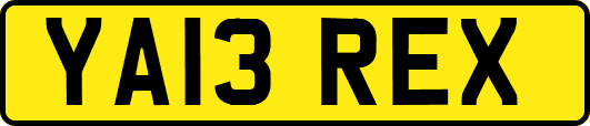 YA13REX