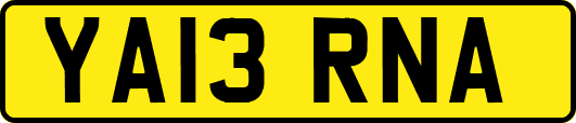 YA13RNA