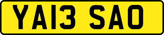 YA13SAO