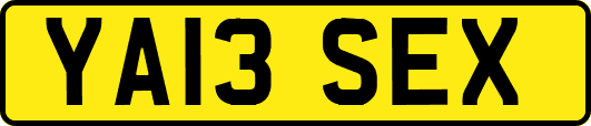YA13SEX