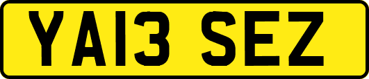 YA13SEZ