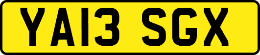 YA13SGX