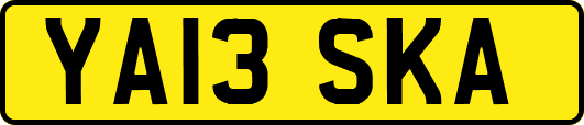 YA13SKA