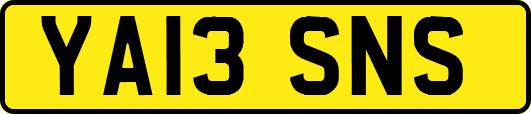 YA13SNS