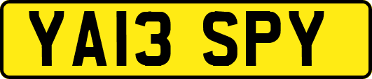 YA13SPY