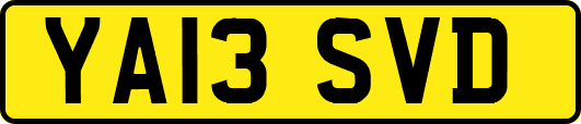 YA13SVD