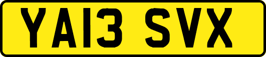 YA13SVX