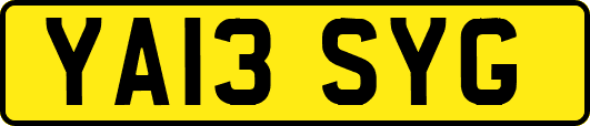 YA13SYG