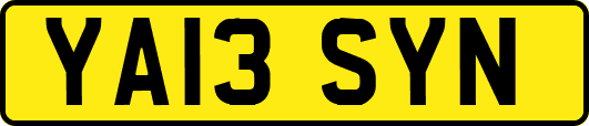YA13SYN