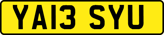 YA13SYU