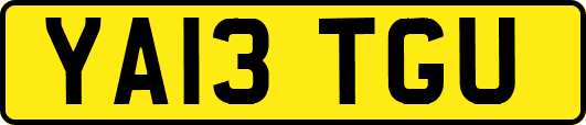 YA13TGU