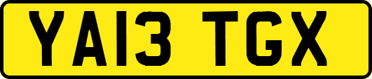 YA13TGX