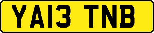 YA13TNB