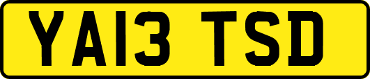 YA13TSD