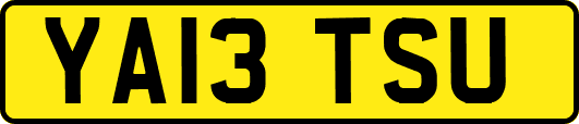 YA13TSU