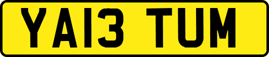 YA13TUM