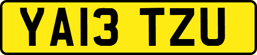 YA13TZU