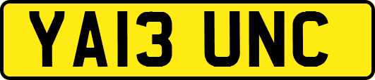 YA13UNC