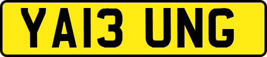 YA13UNG