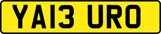 YA13URO