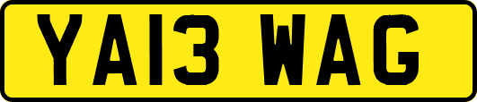 YA13WAG