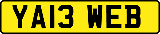 YA13WEB