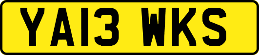 YA13WKS