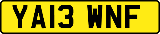 YA13WNF