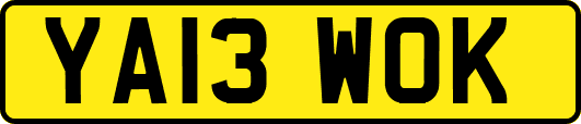 YA13WOK