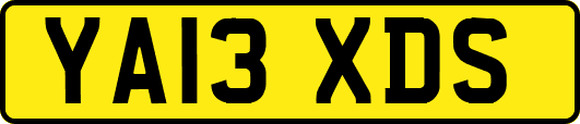 YA13XDS