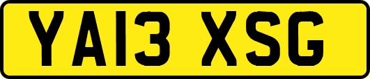 YA13XSG