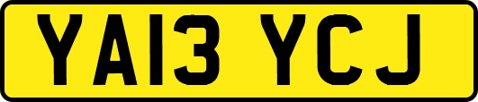 YA13YCJ
