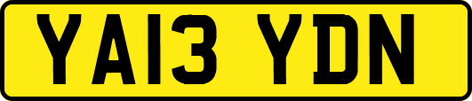 YA13YDN