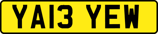 YA13YEW
