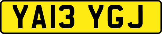 YA13YGJ
