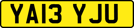 YA13YJU