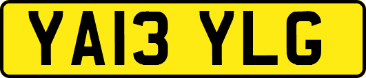 YA13YLG
