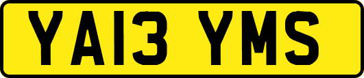 YA13YMS