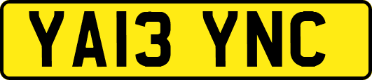 YA13YNC