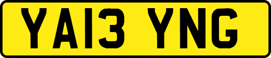 YA13YNG