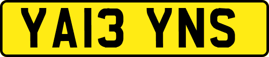 YA13YNS