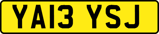 YA13YSJ